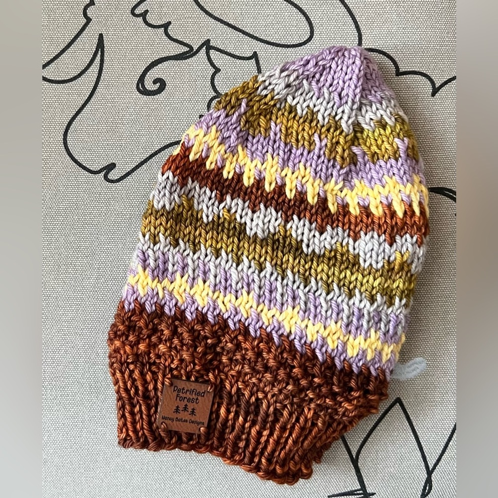 Petrified Forest National Park Beanie